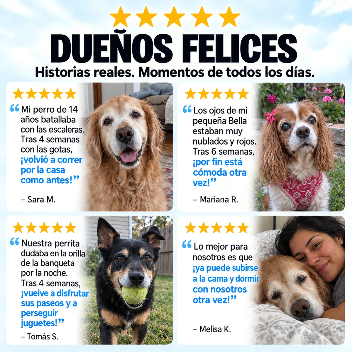 Dueños felices con sus perros