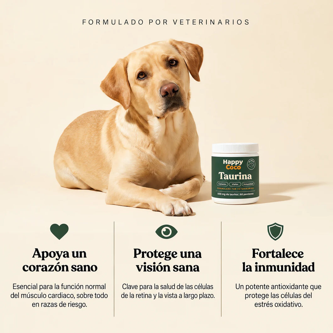 Formulado por veterinarios: corazón, visión e inmunidad