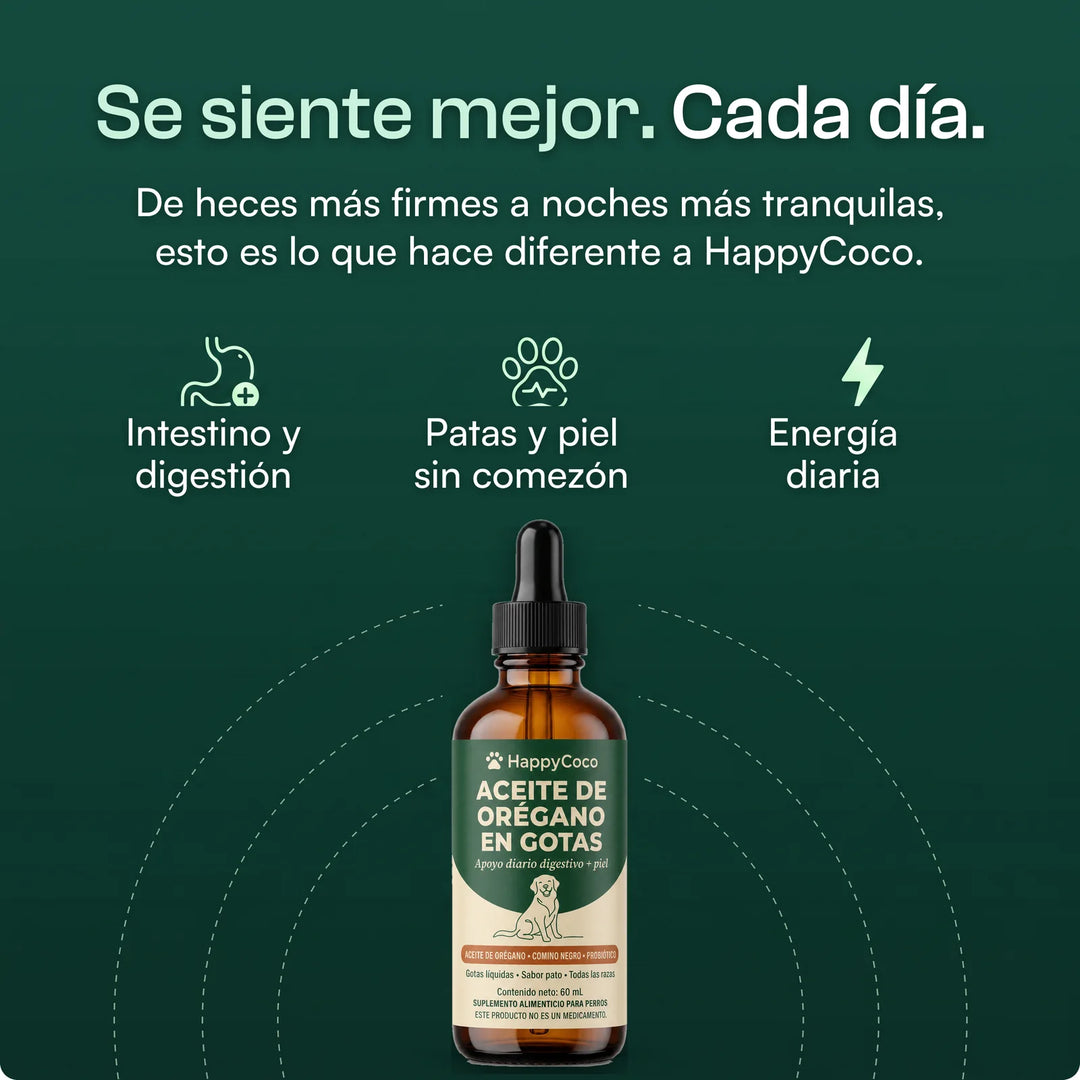 Se siente mejor. Cada día: intestino y digestión, patas y piel sin comezón, energía diaria