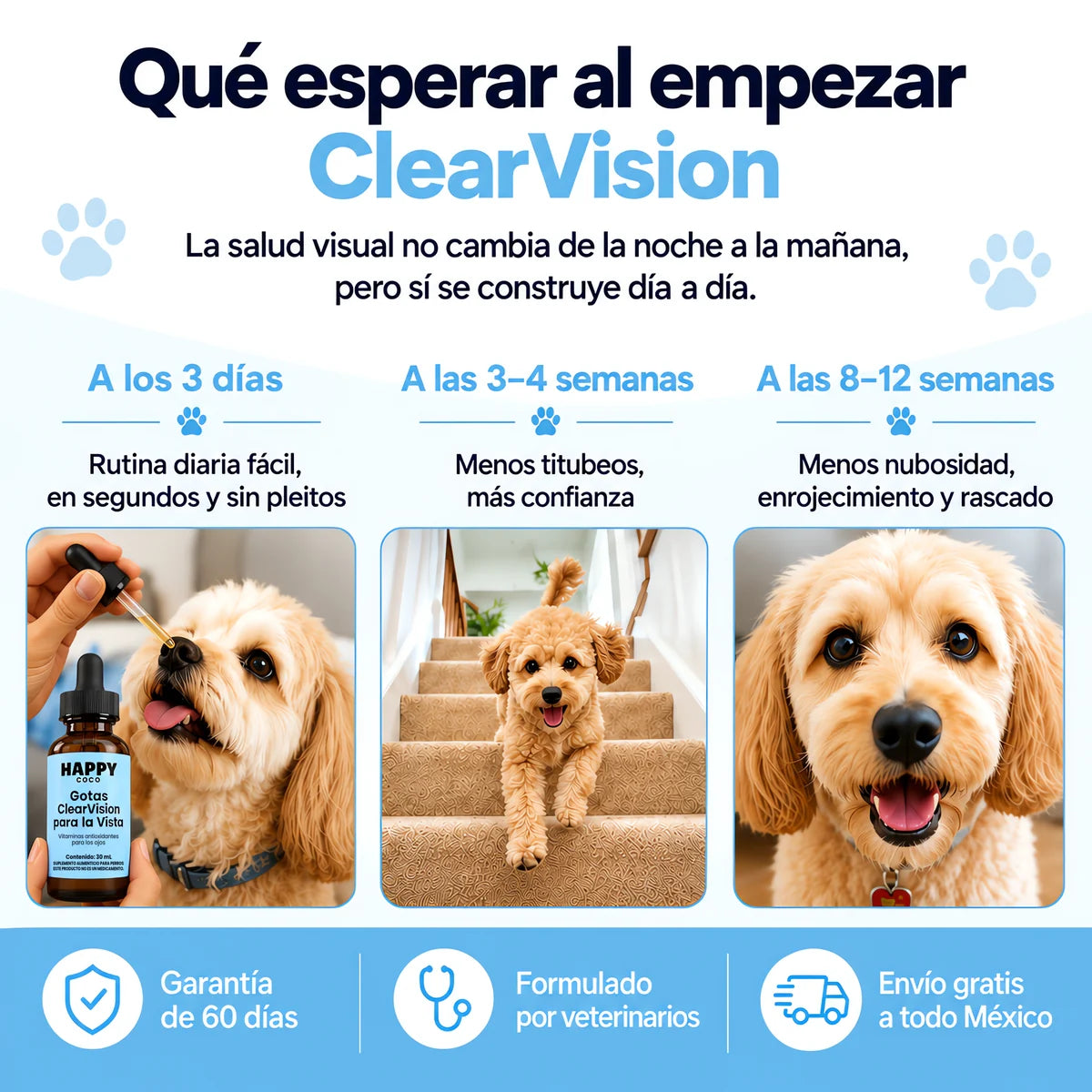 Qué esperar al empezar ClearVision