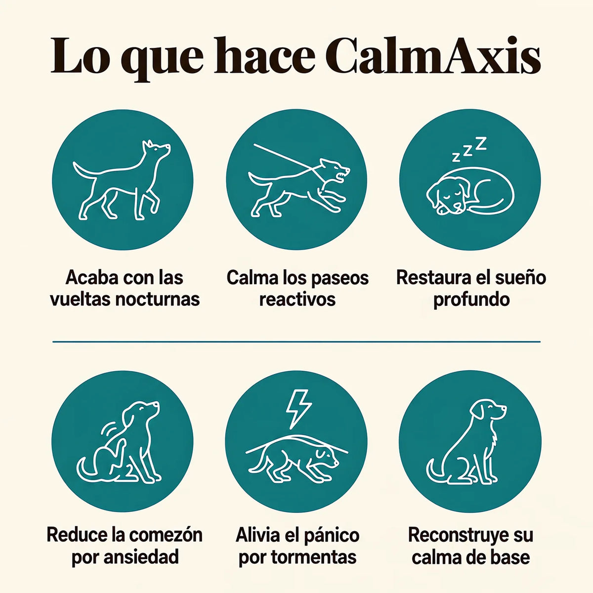 Lo que hace CalmAxis: seis beneficios para perros ansiosos