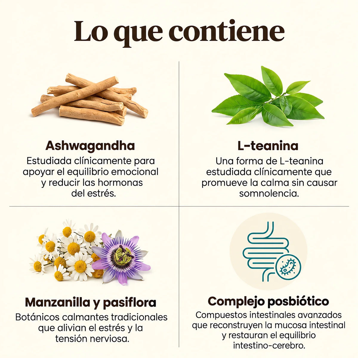 Lo que contiene CalmAxis: ashwagandha, L-teanina, manzanilla y pasiflora, complejo posbiótico