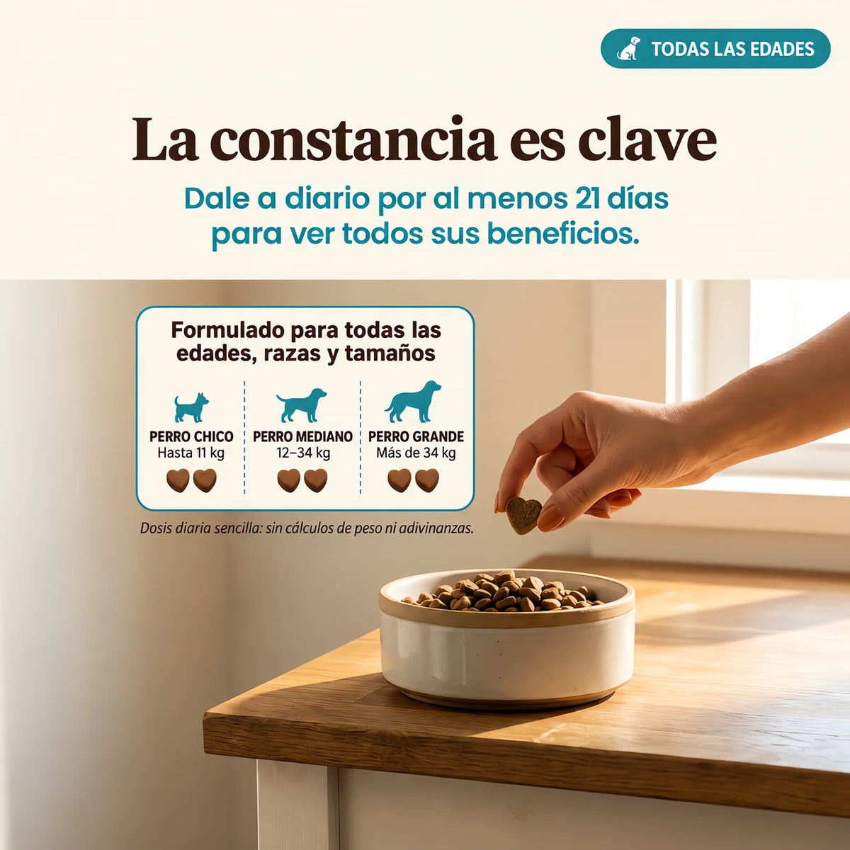 La constancia es clave: dosis para perros chicos, medianos y grandes