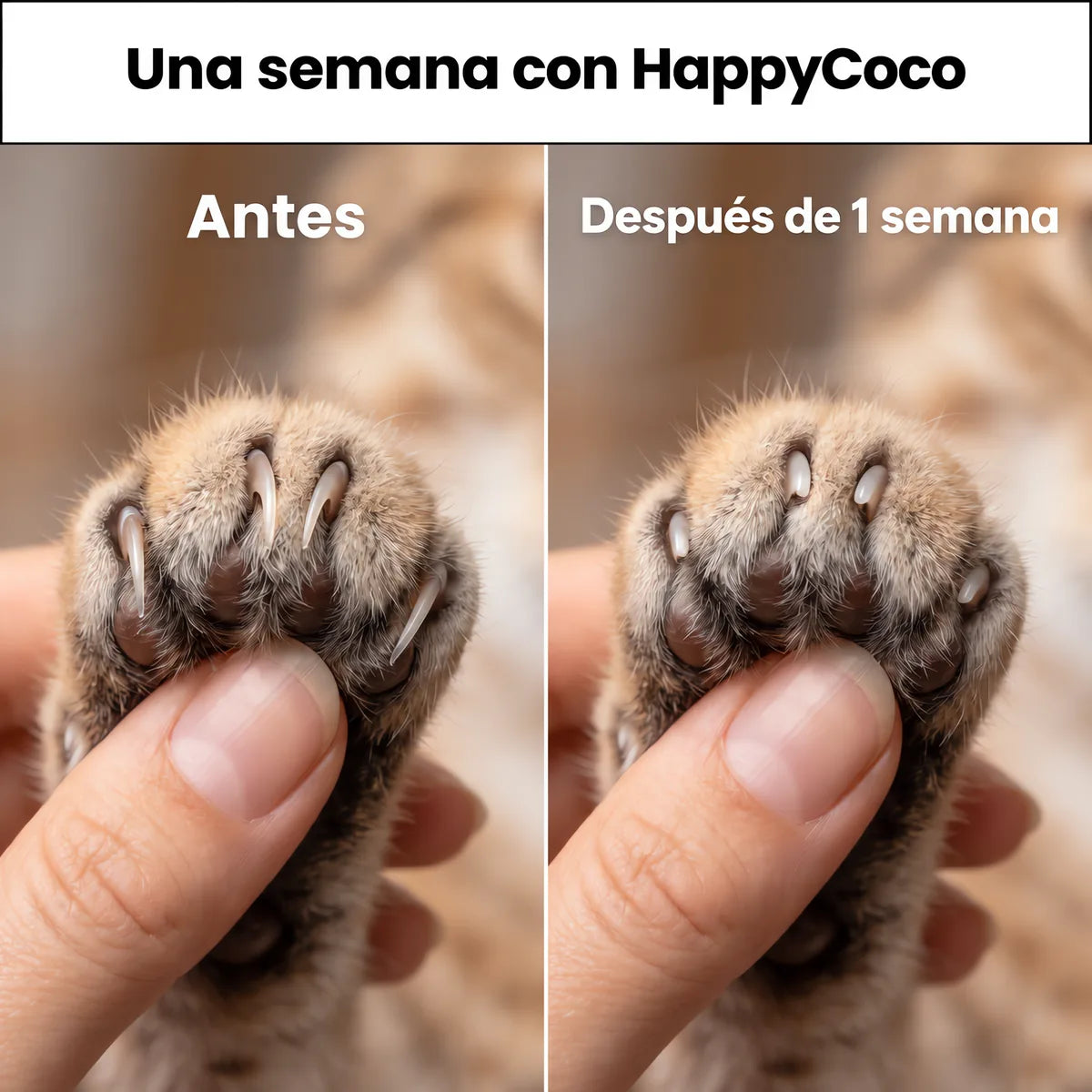 Antes y después de 1 semana