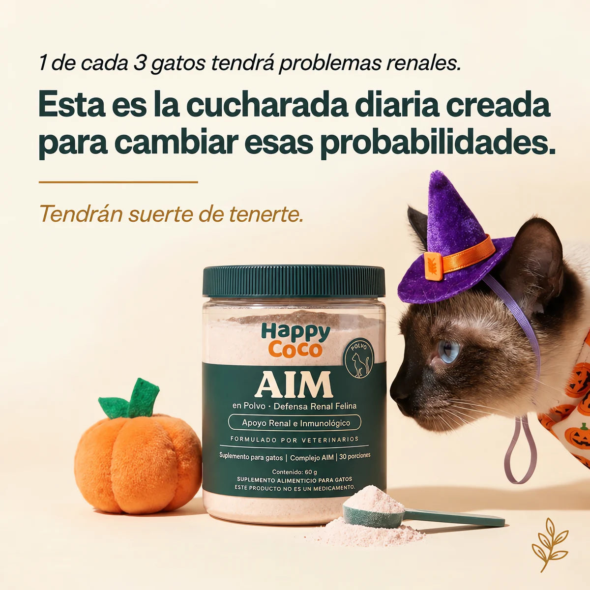 1 de cada 3 gatos tendrá problemas renales
