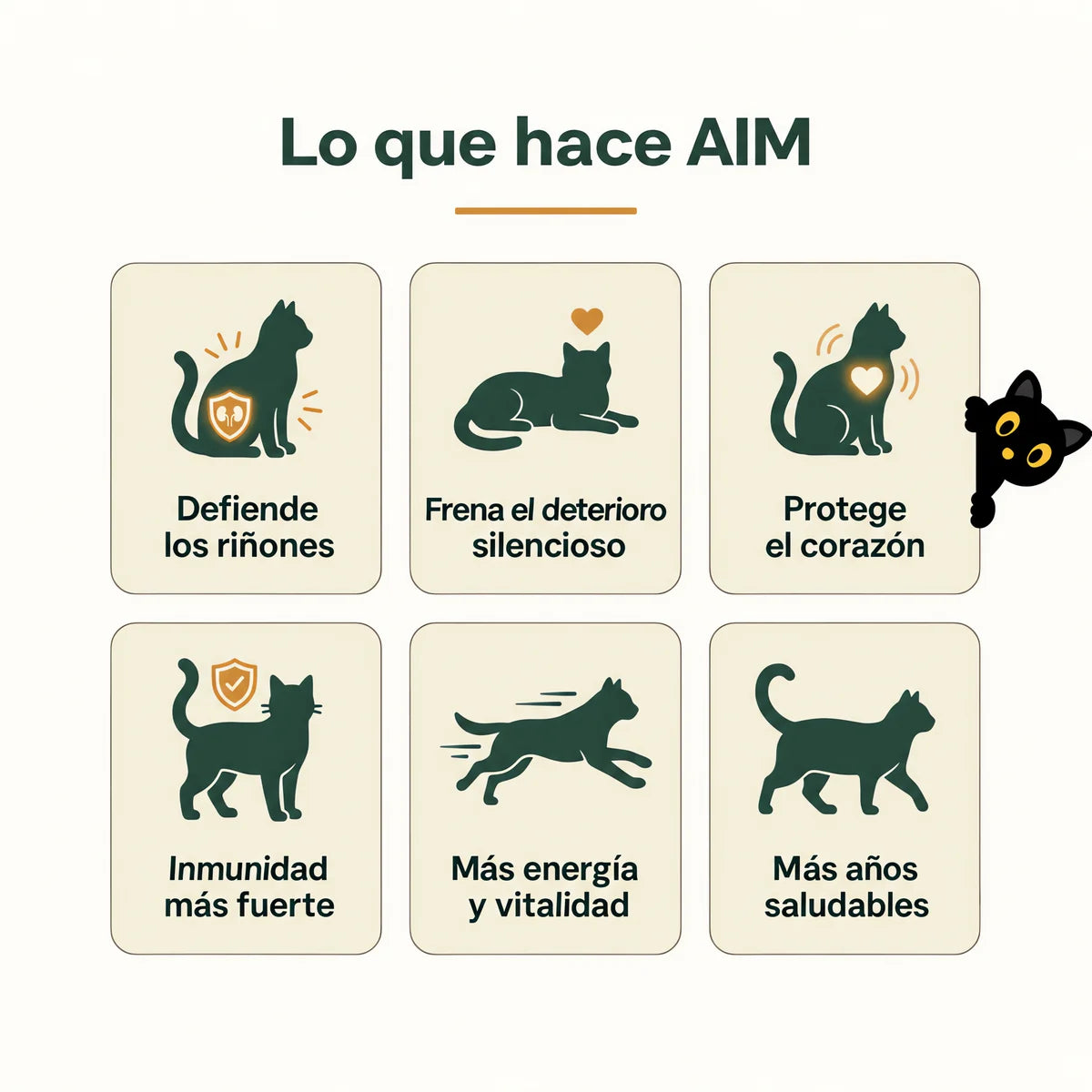 Lo que hace AIM