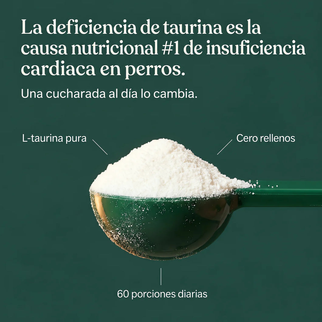 La deficiencia de taurina y el corazón de tu perro
