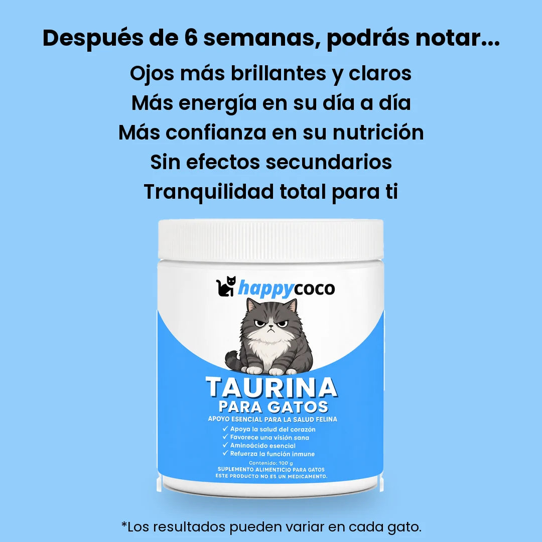Lo que podrás notar después de 6 semanas