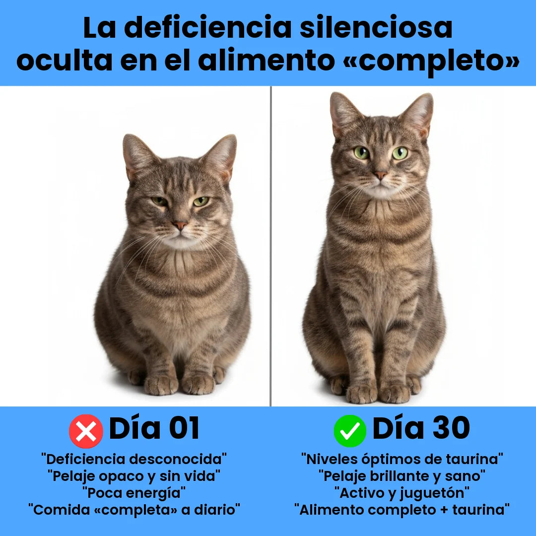 La deficiencia silenciosa oculta en el alimento completo