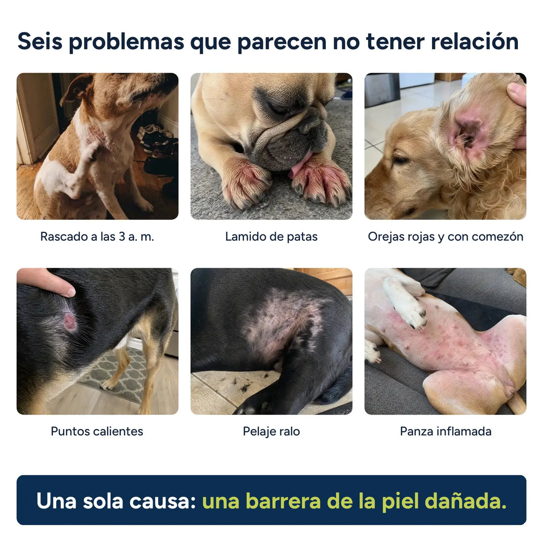 Seis problemas que parecen no tener relación