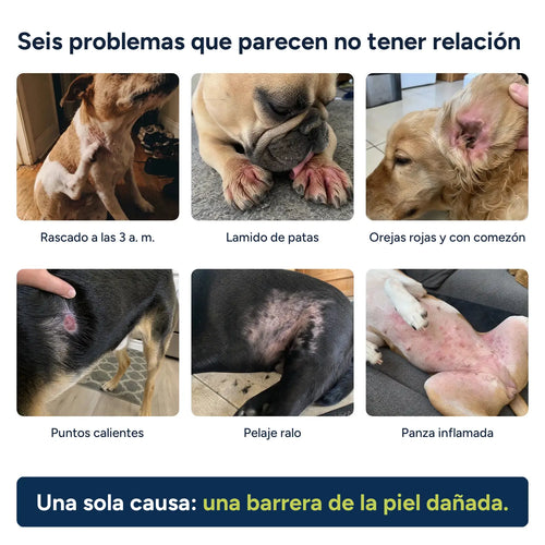 Seis problemas que parecen no tener relación