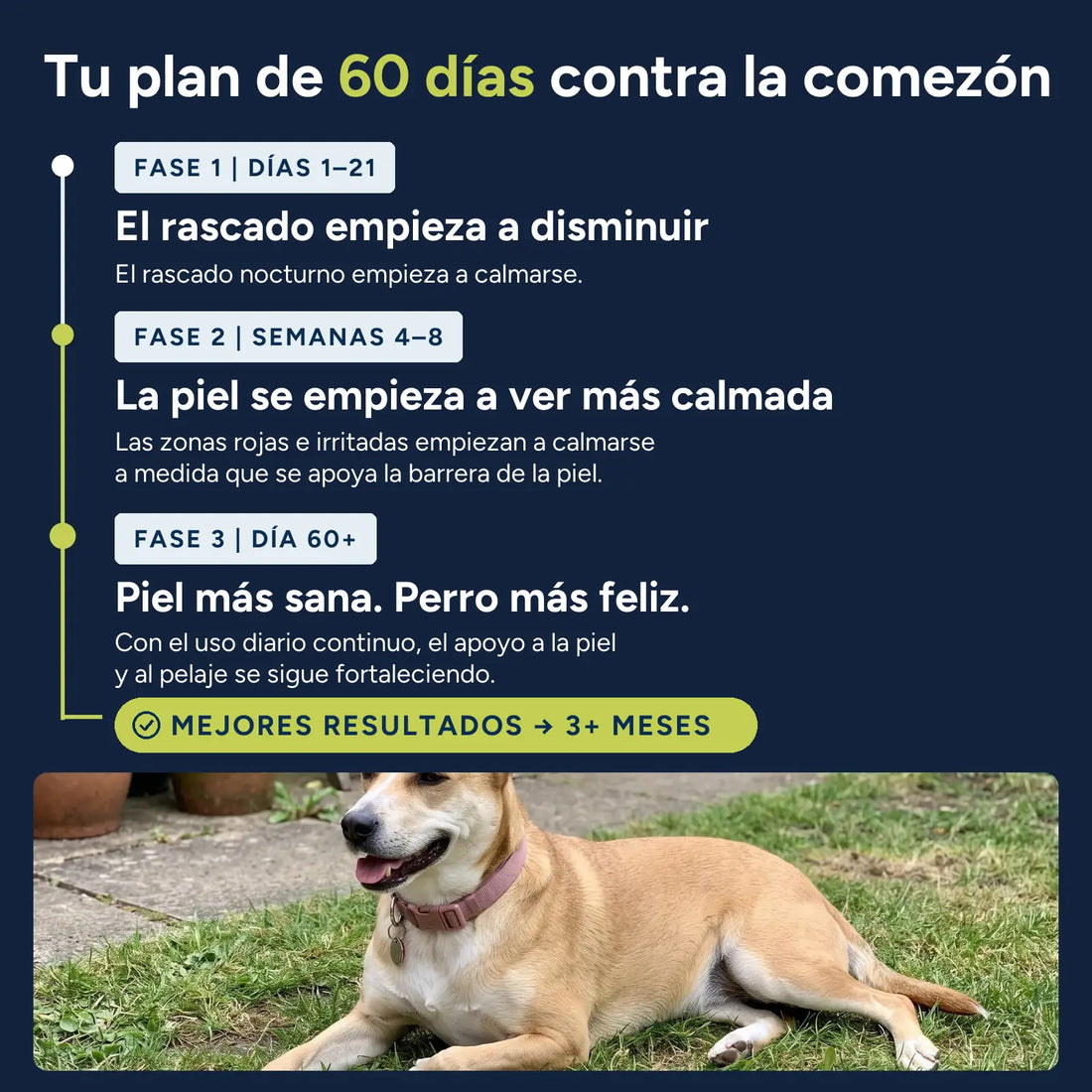 Tu plan de 60 días contra la comezón
