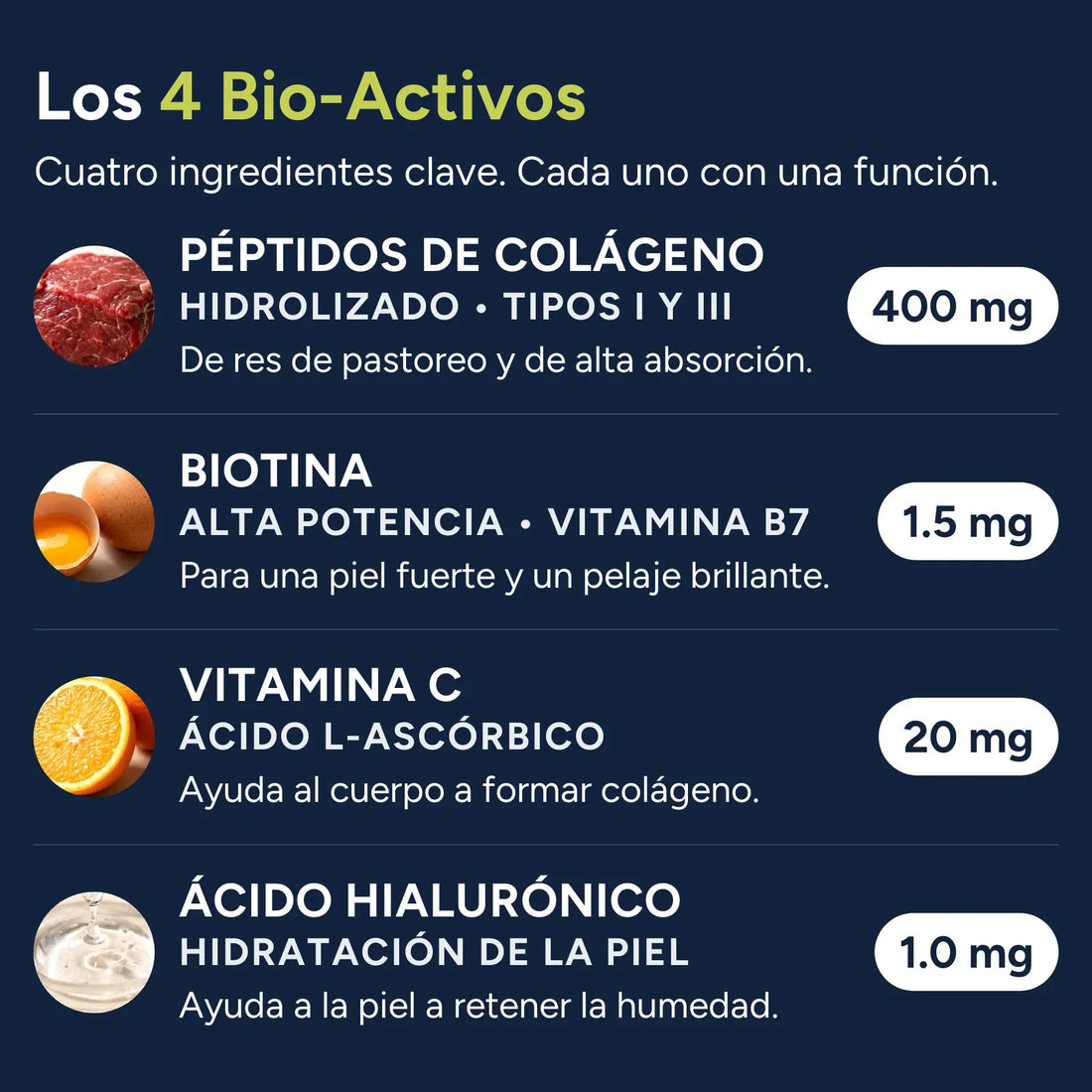 Los 4 Bio-Activos