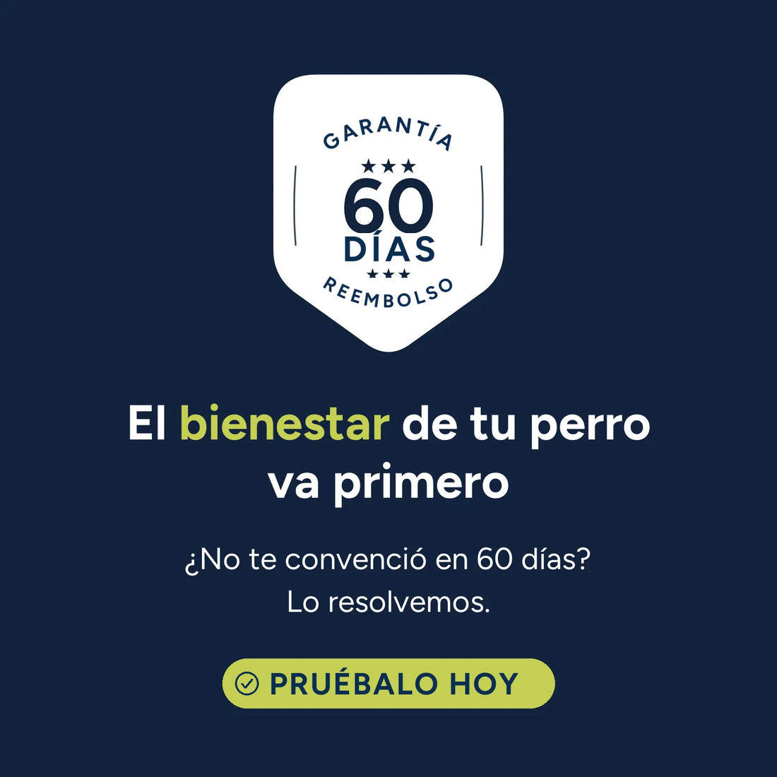Garantía de 60 días