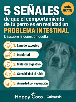E-book «5 señales de un problema intestinal»