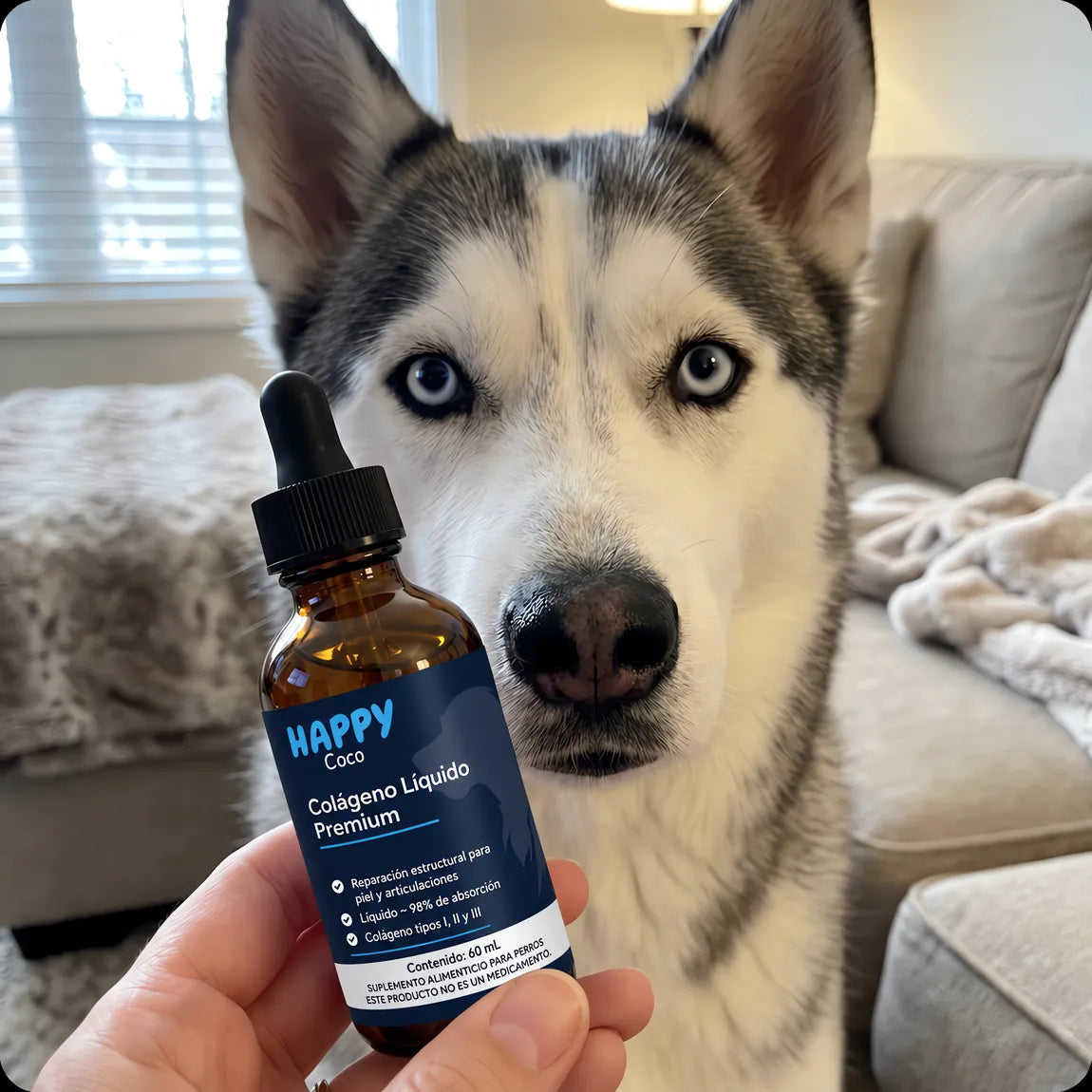 Husky junto al frasco de Colágeno Líquido HappyCoco