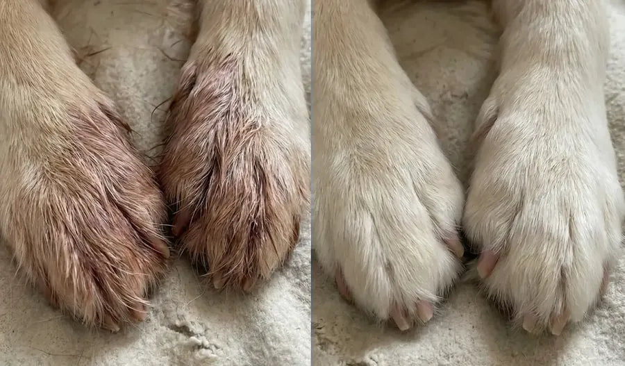 Patas antes y después
