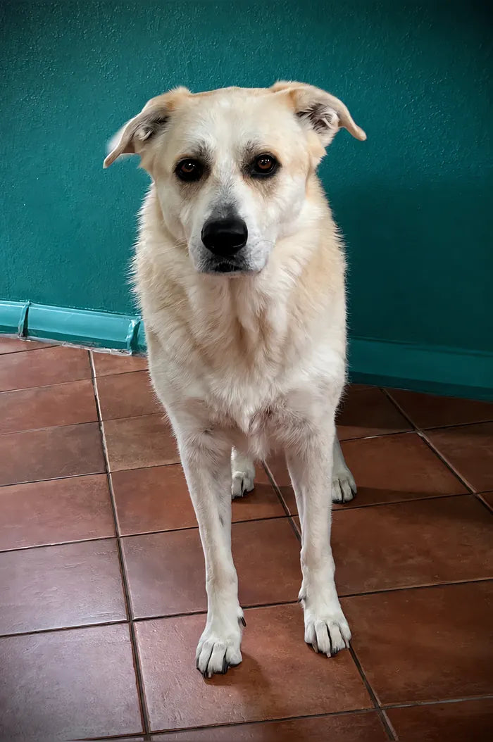 Foto de Lupita y «Benny»
