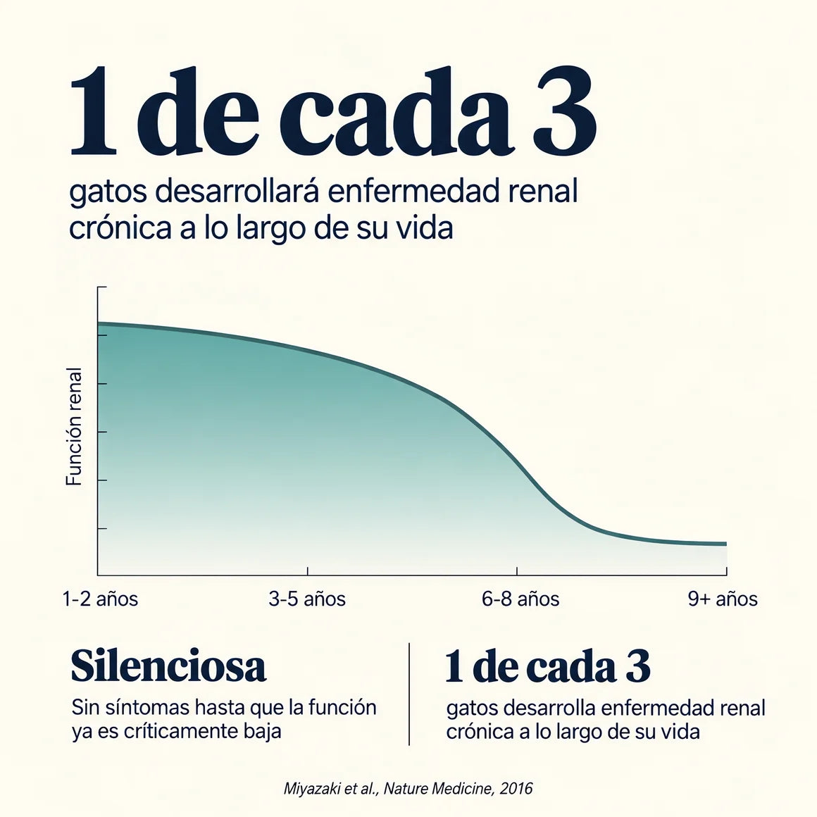 Por qué importa la AIM: